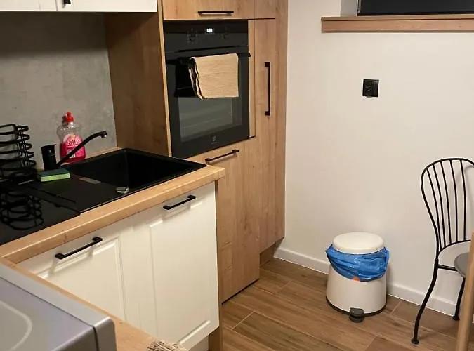 Przy Bloniach شقة