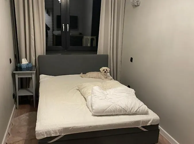 شقة Przy Bloniach *